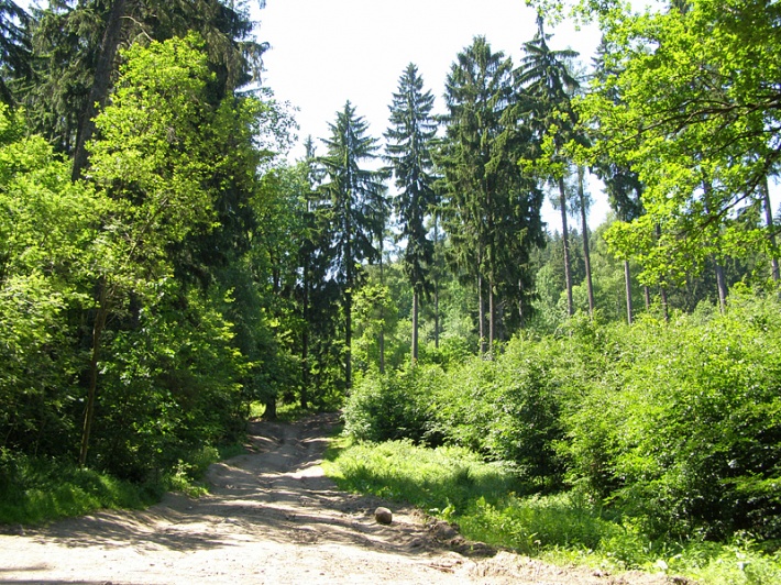 Góry Sokole - droga z Przełęczy Karpnickiej w kierunku schroniska