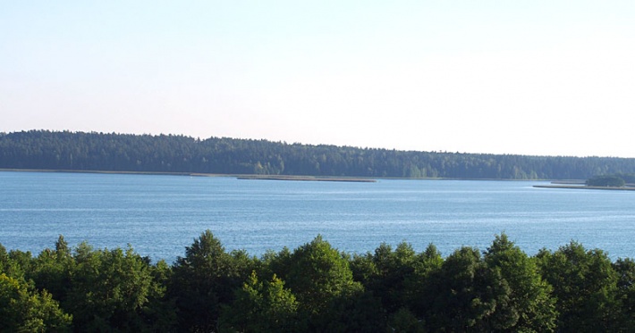 widok z wieży zegarowej w Wigrach - zatoka Hańczańska, gdzie do jeziora Wigry wpływa Czarna Hańcza