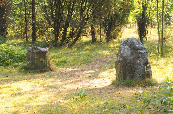 Kamienne kręgi w Węsiorach