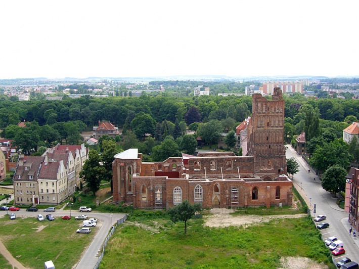 ruiny kościoła św. Mikołaja, na horyzoncie Wzgórza Dalkowskie