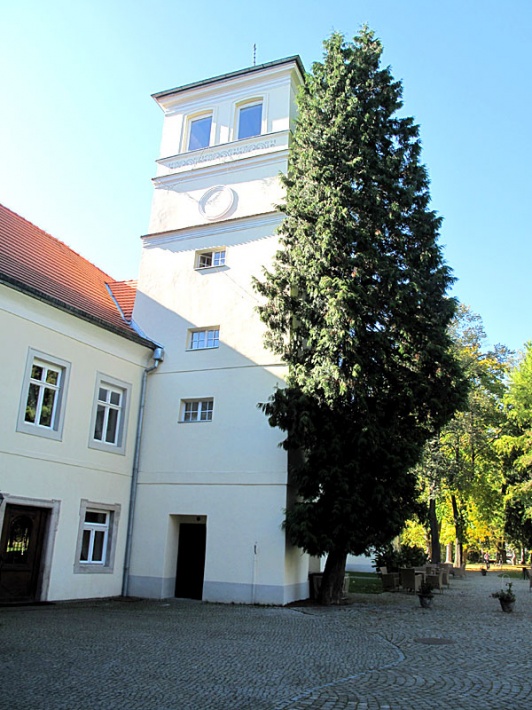 zamek na Skale w Trzebieszowicach - wieża pałacowa