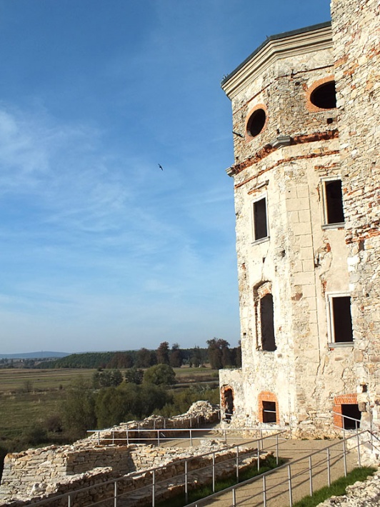 ruiny zamku Krzyżtopór w Ujeździe - wieża ośmioboczna z widocznym tarasem widokowym od strony ogrodów
